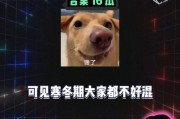 娱乐爆吃瓜,明星们的“吃货”日常大揭秘
